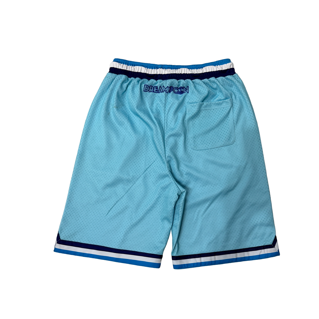 DC Mens Custom Shorts