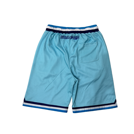 DC Mens Custom Shorts